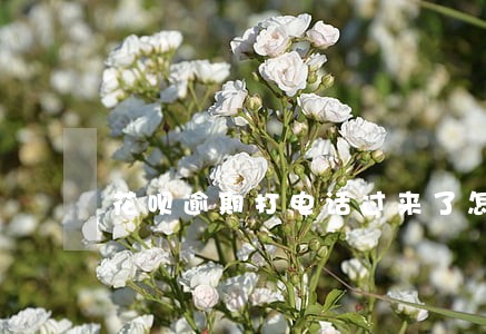 花呗逾期打电话过来了怎么办 花呗逾期打电话过来了怎么办