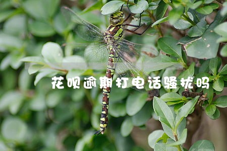 花呗逾期打电话骚扰吗 花呗逾期打电话骚扰吗