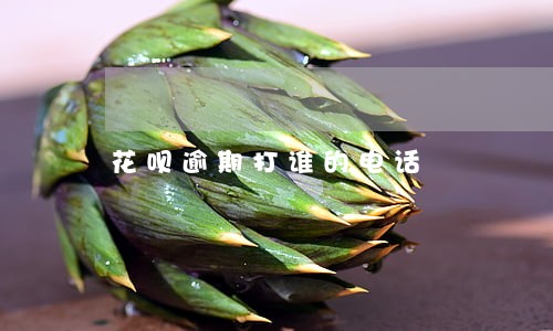 花呗逾期打谁的电话