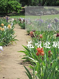 花呗逾期扣78芝麻信用分 花呗逾期扣78芝麻信用分