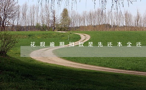 花呗逾期扣款是先还本金还是利息 花呗逾期扣款是先还本金还是利息