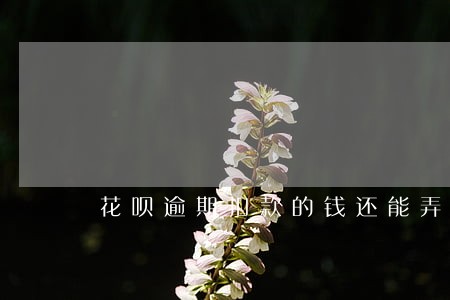 花呗逾期扣款的钱还能弄出来吗 花呗逾期扣款的钱还能弄出来吗
