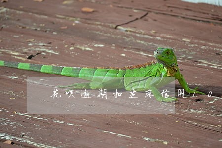 花呗逾期扣芝麻信用100多 花呗逾期扣芝麻信用100多