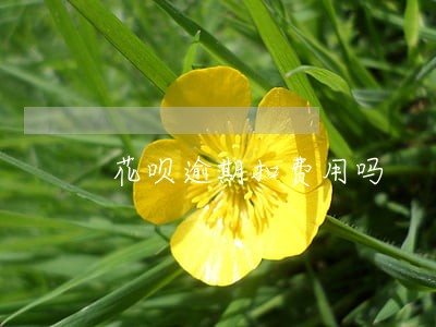 花呗逾期扣费用吗 花呗逾期扣费用吗
