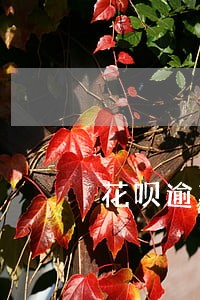 花呗逾期扣违约金吗