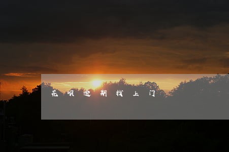 花呗逾期找上门