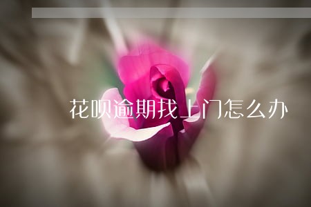 花呗逾期找上门怎么办