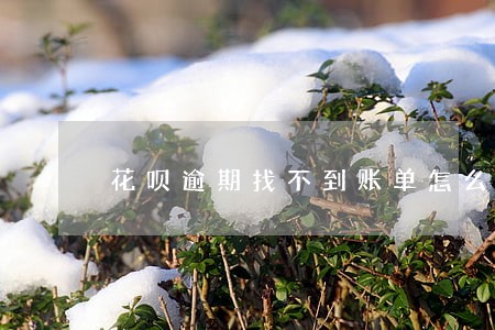 花呗逾期找不到账单怎么还