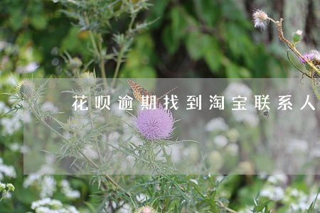 花呗逾期找到淘宝联系人 花呗逾期找到淘宝联系人