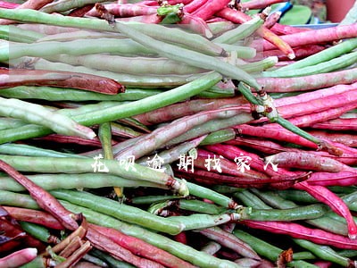 花呗逾期找家人 花呗逾期找家人