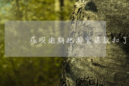 花呗逾期把淘宝退款扣了 花呗逾期把淘宝退款扣了