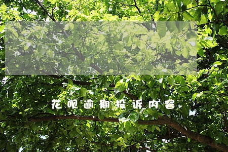 花呗逾期投诉内容 花呗逾期投诉内容