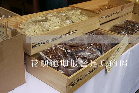 花呗逾期报警是真的吗 花呗逾期报警是真的吗