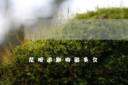 花呗逾期拘留多久 花呗逾期拘留多久