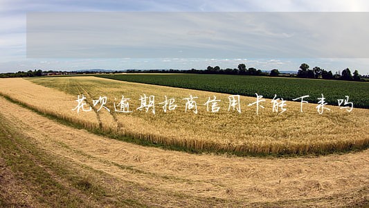 花呗逾期招商信用卡能下来吗 花呗逾期招商信用卡能下来吗