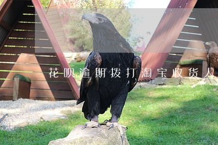 花呗逾期拨打淘宝收货人 花呗逾期拨打淘宝收货人