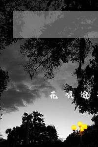 花呗逾期换了为啥关闭了 花呗逾期换了为啥关闭了