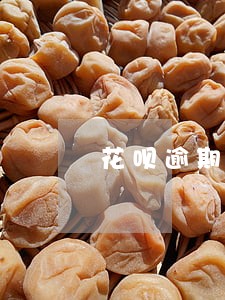 花呗逾期捷信可以申请吗 花呗逾期捷信可以申请吗