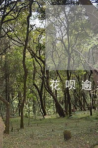花呗逾期捷信能做贷款吗 花呗逾期捷信能做贷款吗