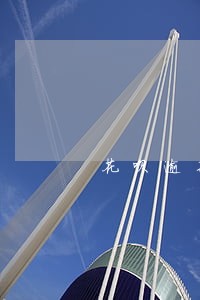 花呗逾期捷信能分期吗 花呗逾期捷信能分期吗
