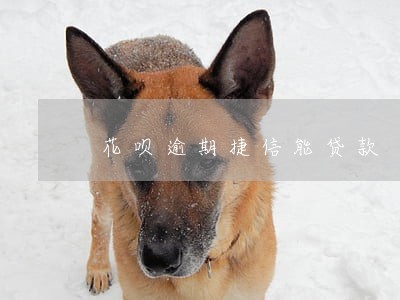 花呗逾期捷信能贷款