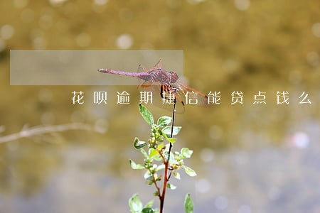 花呗逾期捷信能贷点钱么