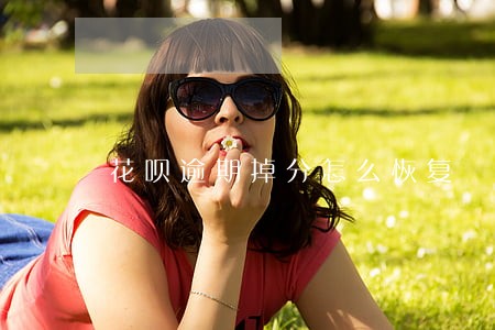 花呗逾期掉分怎么恢复 花呗逾期掉分怎么恢复