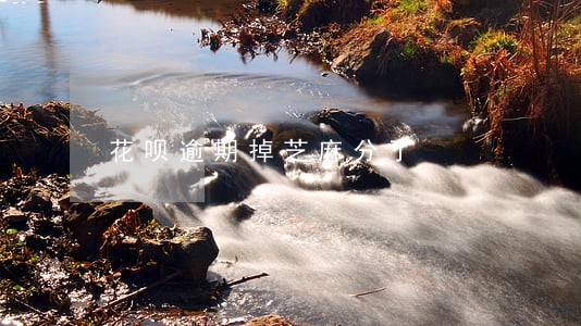 花呗逾期掉芝麻分了 花呗逾期掉芝麻分了