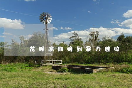 花呗逾期接到暴力催收