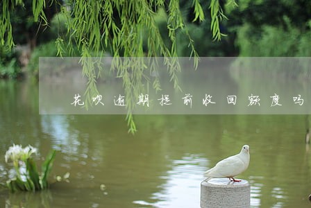 花呗逾期提前收回额度吗