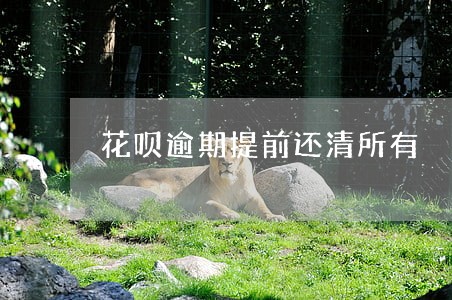 花呗逾期提前还清所有