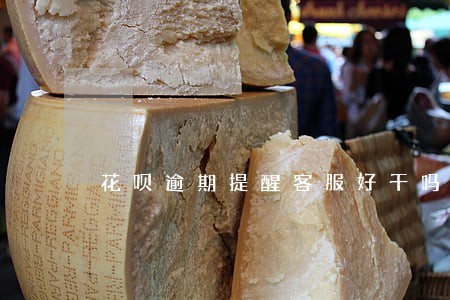 花呗逾期提醒客服好干吗 花呗逾期提醒客服好干吗