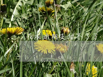 花呗逾期支付不了了 花呗逾期支付不了了