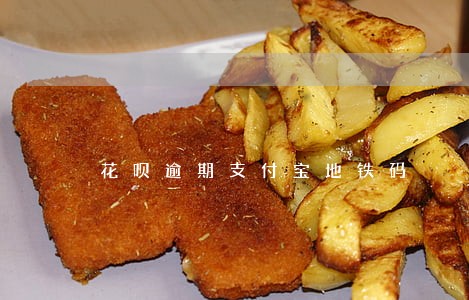 花呗逾期支付宝地铁码