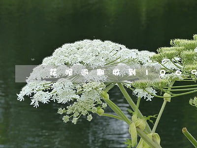 花呗逾期收到1069开头短信 花呗逾期收到1069开头短信