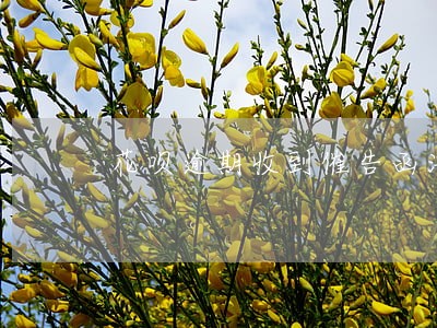 花呗逾期收到催告函法律文书 花呗逾期收到催告函法律文书