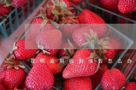 花呗逾期收到催告怎么办 花呗逾期收到催告怎么办