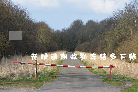 花呗逾期收到冻结多下账户信息 花呗逾期收到冻结多下账户信息