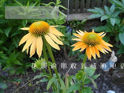 花呗逾期收到威胁电话