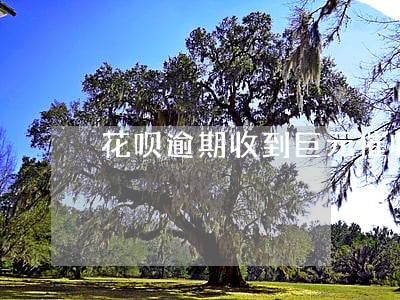 花呗逾期收到巨元催收函怎么办