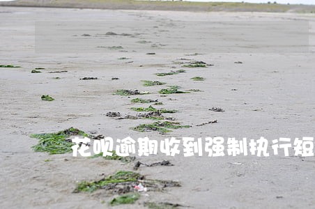 花呗逾期收到强制执行短信 花呗逾期收到强制执行短信