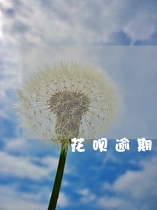 花呗逾期收到查名下财产短信