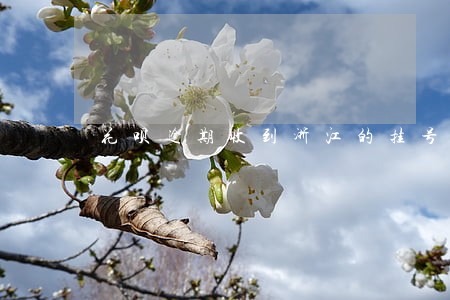 花呗逾期收到浙江的挂号信 花呗逾期收到浙江的挂号信