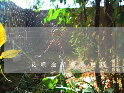 花呗逾期收到电话 花呗逾期收到电话
