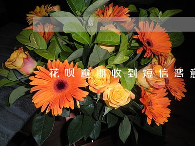 花呗逾期收到短信恶意拖欠 花呗逾期收到短信恶意拖欠