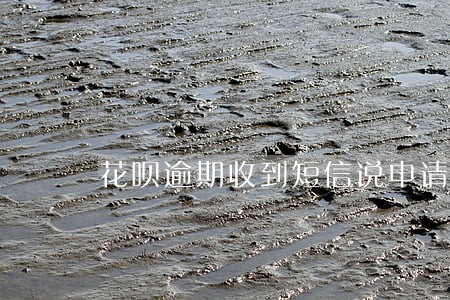 花呗逾期收到短信说申请排期开庭 花呗逾期收到短信说申请排期开庭