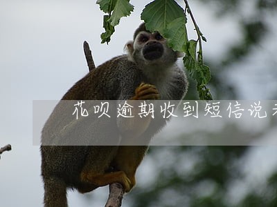 花呗逾期收到短信说老赖名单 花呗逾期收到短信说老赖名单