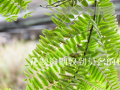 花呗逾期收到莫名的快递 花呗逾期收到莫名的快递