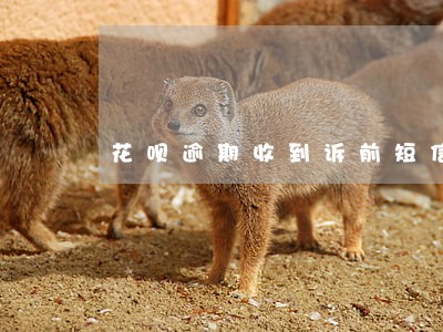 花呗逾期收到诉前短信 花呗逾期收到诉前短信