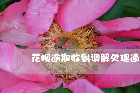 花呗逾期收到调解处理通知 花呗逾期收到调解处理通知